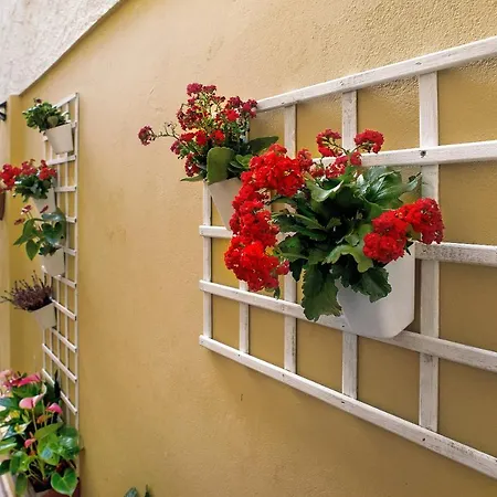Appartement Sales Estudio